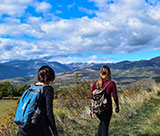 loacal activities and tours